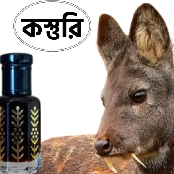 Luxury Musk Attar (কস্তুরী সুগন্ধি)